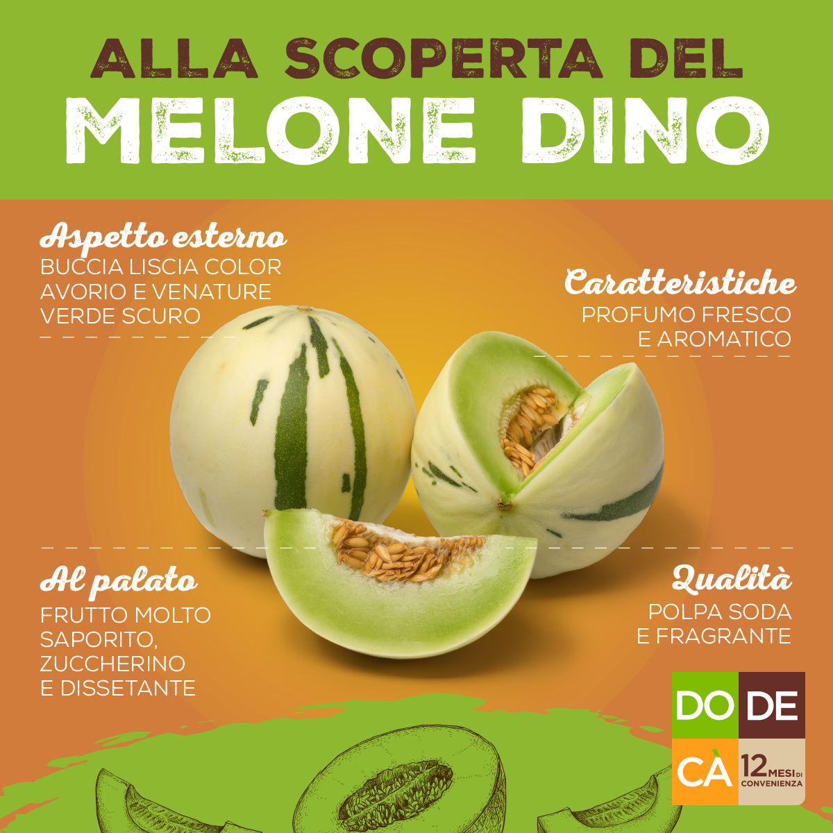 Melone Dino Dodecà